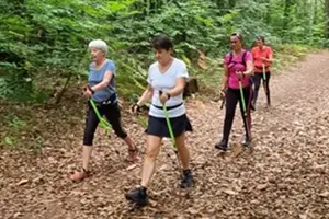 groupe de personnes qui marchent avec des bâtons