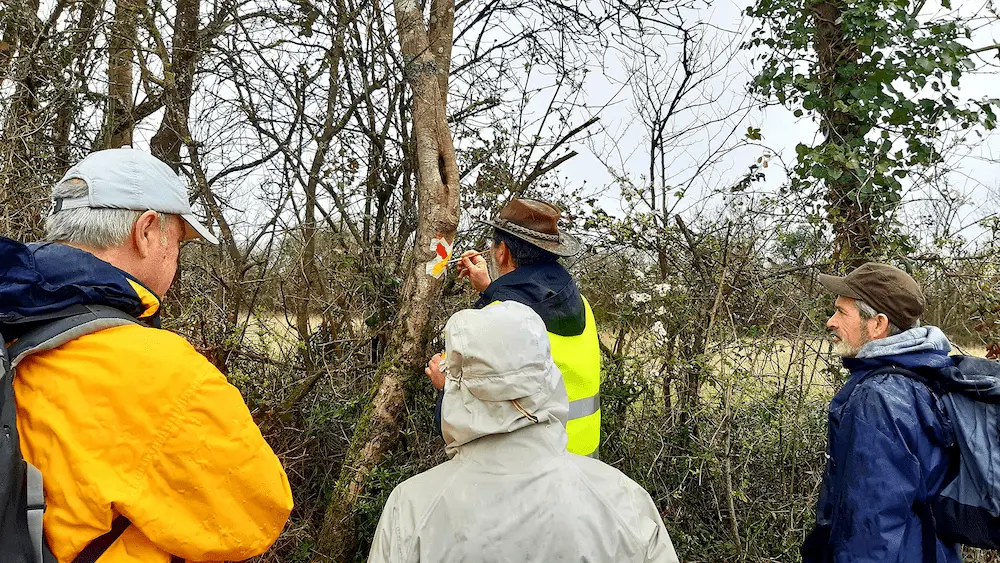 Formation balisage 2 une personne peint une balise sur un arbre, entourée d'un groupe d'autres personnes