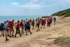 groupe de personnes qui marchent sur la côte