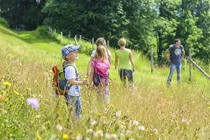 enfants marchant dans une prairie