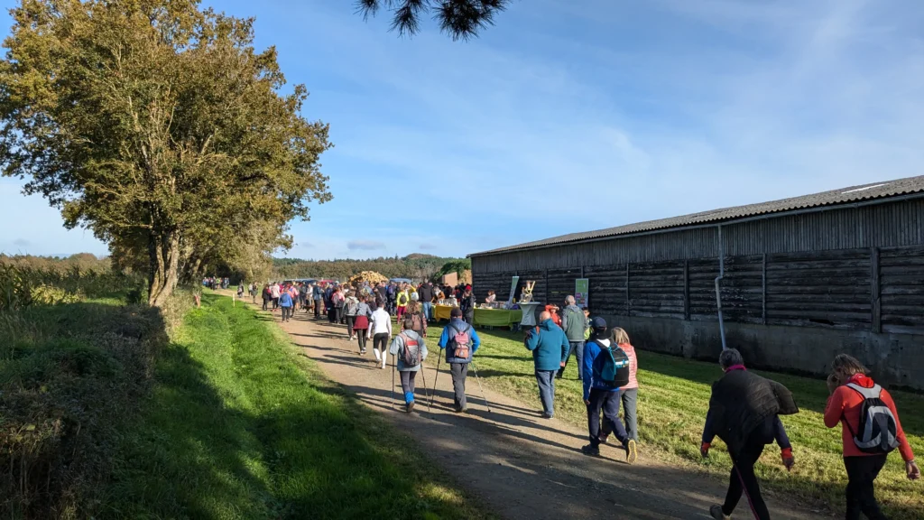 groupe de randonneurs sur un sentier